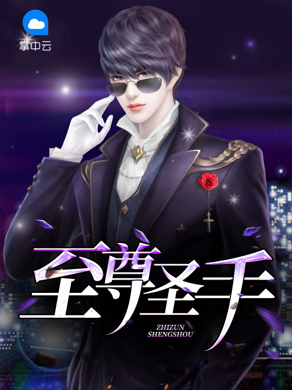 至尊圣手林夜