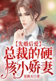 先婚后爱,总裁的硬核小娇妻