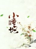 田园小蛮妃蒙千言洛子衍