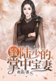 亿万盛宠:陆少的掌中宝妻