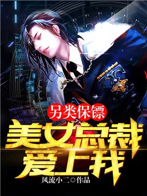 另类保镖:美女总裁爱上我