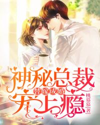替嫁成婚:神秘总裁宠上瘾