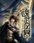 魂武风暴