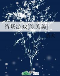 终场游戏[综英美]