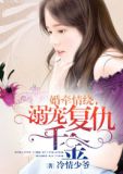 婚牵情绕,溺宠复仇千金南宫子琳凌子辰