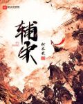 辅宋