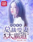 闪婚专宠:总裁爱妻太霸道