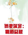 诱妻深宠:霸道总裁狠狠宠