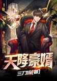 天降豪婿
