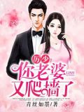 厉少:你老婆又爬墙了