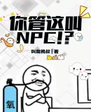 你管这叫NPC!?