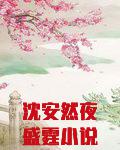 沈安然夜盛霆小说