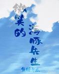 微笑的海豚先生