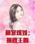 萌宠嫁到:摄政王的小狐妃