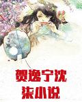 贺逸宁沈柒小说