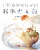 开局签到九转元功:我举世无敌