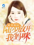 机智萌娃:陆少放开我妈咪