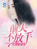 痴心情恋:前夫不放手