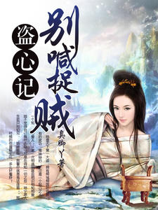 盗心记:别喊捉贼