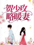 贺少攻略暖妻叶诗怡
