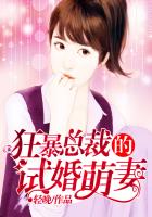 狂暴总裁的试婚萌妻