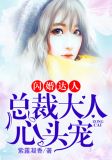 闪婚达人:总裁大人心头宠