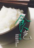 食色(GL美食文)