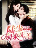 幸孕六宝:陆少,别来无恙