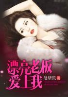 漂亮老板爱上我