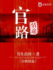 官路情途