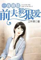 一夜婚情:前夫狠狠爱
