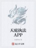 天庭执法APP