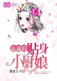 总裁的贴身小厨娘