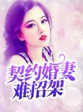 契约婚妻难招架白慕雅顾稀