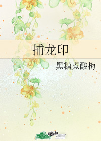 捕龙印