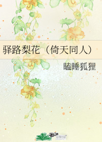 驿路梨花(倚天同人)