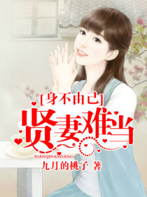 身不由己:贤妻难当