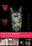 官场布衣