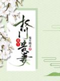 重生权门贵妻