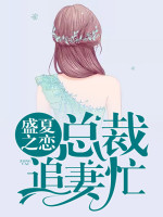 盛夏之恋,总裁追妻忙