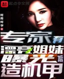 专家有漂亮姐妹,曝光后造机甲