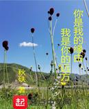 你是我的缘由,我是你的远方
