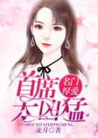 名门厚爱:首席太凶猛