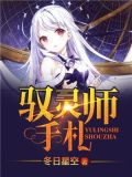 驭灵师手札