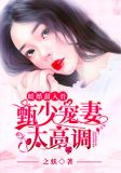 暖婚甜入骨:甄少宠妻太高调