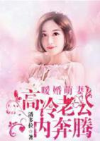 暖婚萌妻:高冷老公内奔腾