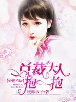 婚迷不悟:总裁大人抱一抱