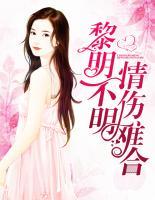 黎明不明,情伤难合