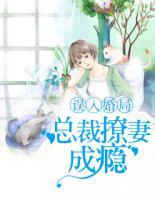 误入婚局:总裁撩妻成瘾