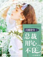 闪婚蜜令:总裁用心不良